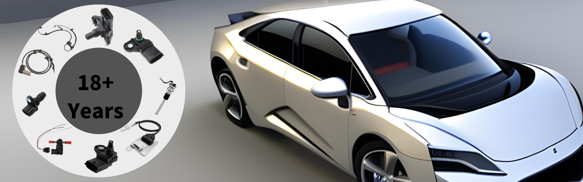 গুণ NOx সেন্সর কারখানা